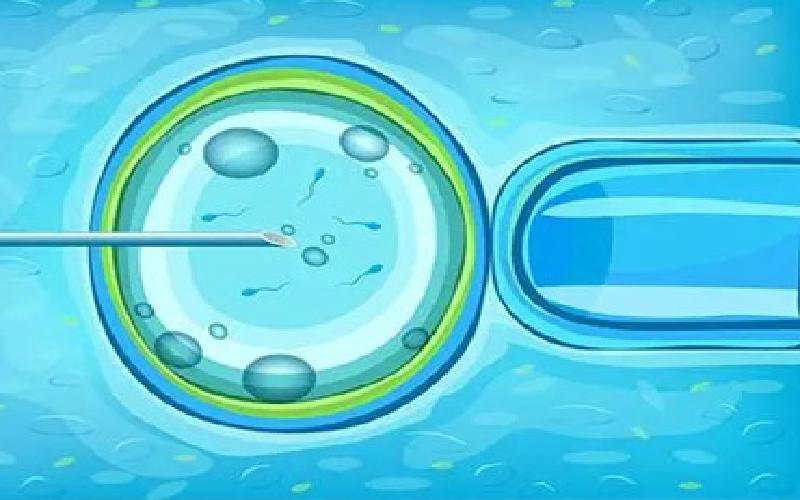 绑试管插花图片代生